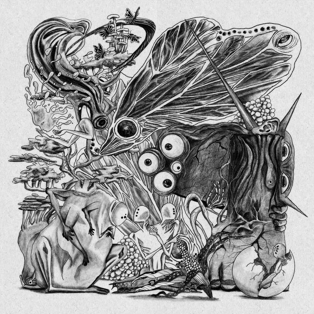 Image Cover